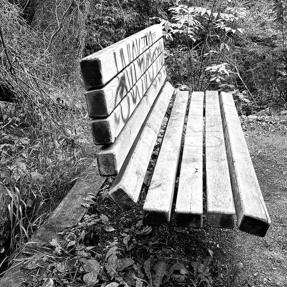 Meet your Posher, Alexandre - Picture 1 of 1